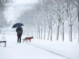Un hombre pasea junto a su perro por la nieve en un parque del sur de Vitoria, este lunes en el que se mantiene activada la alerta amarilla por nevadas a partir de 400 metros de altitud.