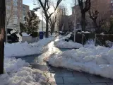 Calle del barrio de Moratalaz (Madrid), con un pasillo entre la nieve, una semana despu&eacute;s de la nevada que trajo el temporal Filomena.