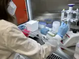 En el laboratorio en el que buscan Covid-19 en muestras de agua trabajan químicos, biólogos, ingenieros... una veintena de personas forma parte del Sistema Vigía.