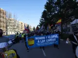 Varias personas participan en una marcha neonazi en Madrid.