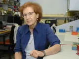La viróloga del CSIC Margarita del Val.