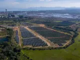 Endesa pone en servicio en Mallorca la planta fotovoltaica de Nou Biniatria, de 15 MW