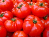 Varios tomates, en una imagen de archivo.