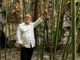 Fernando Aramburu avisa que su nueva novela 'Los vencejos' "pone un espejo" ante el lector