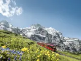 Trayecto en tren por las laderas del área protegida de Jungfrau-Aletsch.