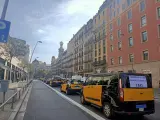 Unos 300 taxis realizan una marcha lenta en Barcelona contra "la alianza de Uber, Freenow y Bolt"