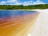 Lago Brasil