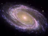 Ejemplo de galaxia espiral cercana, M81, donde se identifica fácilmente el bulbo, la parte central más rojiza, y el disco, plagado de zonas donde se forman estrellas actualmente y aparecen como regiones azules formando brazos espirales. NASA/JPL-CALTECH/ESA/HARVARD-SMI (Foto de ARCHIVO) 7/6/2021