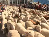 Mil ovejas y cien cabras cruzan el centro de Madrid en la XXVIII Fiesta de la Trashumancia
