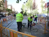 Trabajadores arreglando una calle, archivo