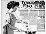 Mary Mallon, apodada María Tifoidea, fue una portadora asintomática, famosa por negarse a dejar de trabajar como cocinera pese a que a su alrededor se infectaron y murieron numerosas personas.