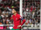 Cristiano Ronaldo se lamenta en el Portugal - Serbia