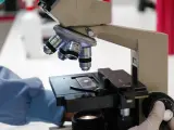 Visualización a microscopio en el área de control de calidad