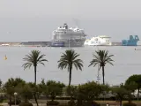 Cs pide a Hila "rigor" para abordar la regulación de la llegada de cruceros a Palma