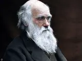 Charles Darwin formuló la teoría de la evolución por selección natural.