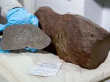 La piedra y el meteorito de su interior.