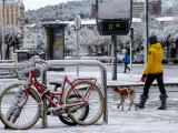 Una mujer pasea con su perro en Burgos, en cero grados.