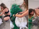 Gisele Bündchen rescata a una tortuga.