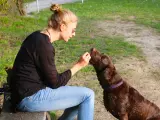 Una mujer interactúa con su perro en un parque.