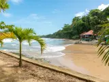 Playa en el Parque Nacional de Cahuita, en la costa caribeña de Costa Rica.