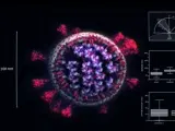 Recreación del coronavirus y sus variantes.