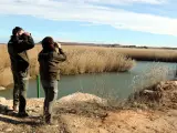 Efectivos de Agents Rurals inspeccionando el pantano de Utxesa en búsqueda de aves muertas por posible gripe aviar.