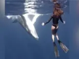 El impactante encuentro cara a cara de una joven buceadora con una ballena