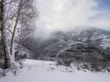 Abedules cubiertos de hielo frente a una vista de las montañas nevadas, en Galicia.