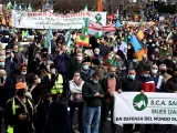 Manifestación en Madrid en protesta por la situación que sufre el mundo rural y sus actividades.