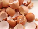 Los usos desconocidos de la cáscara de huevo