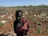 Centenares de cabras mueren por falta de agua en Kenia.