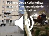Así funcionan las bandas latinas en Madrid