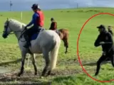 Fragmento del vídeo en el que Sir Mark Todd golpea a un caballo.