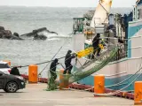 Trabajadores canadienses abordan el pesquero español Playa de Menduiña 2 para buscar el cuerpo de uno de los tripulantes fallecidos del Villa de Pitanxo en el puerto de San Juan de Terranova (Canadá).