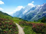 Este caminito es un paseo ideal para disfrutar de la naturaleza, con las montañas rodeándote. Son los Alpes italianos. (Foto: Reddit/Zhoutopia)