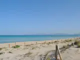 Vista de la playa de Muro en Mallorca.