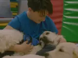 Marc, de 13 años, en una de sus sesiones con perros.