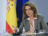La vicepresidenta tercera y ministra para la Transici&oacute;n Ecol&oacute;gica y el Reto Demogr&aacute;fico, Teresa Ribera.
