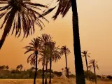 La irrupción de polvo sahariano empieza a cubrir el cielo de naranja en la Comunitat Valenciana