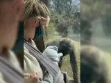 Maite Kate, enseñando a su bebé a los gorilas de los que cuida.