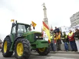 Manifestantes provenientes de diversas provincias españolas se han desplazado para protestar en Madrid por el mundo rural con sus tractores.