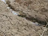 En España, el 75% del suelo sufre riesgo de desertificación por la falta de agua.