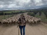 María del Camino con sus ovejas merinas.