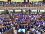 Zelenski interviene en el Congreso de los Diputados