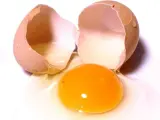 Huevo.
