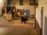 Un toro embolado pasa por delante de unos espectadores en Aldover, en el Baix Ebre