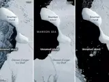 Secuencia de imágenes de la 'isla sin nombre' localizada en la costa ese de la Antártida.