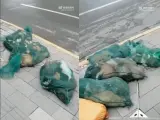 Animales capturados en China.