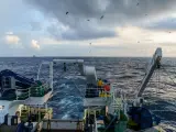 Archivo - Científicos del IEO observan un ave antártica en aguas del Atlántico Norte durante una campaña oceanográfica - FRANCISCO BALDÓ - Archivo