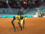 ‘Yellow’, el perro robot que protege el Mutua Madrid Open